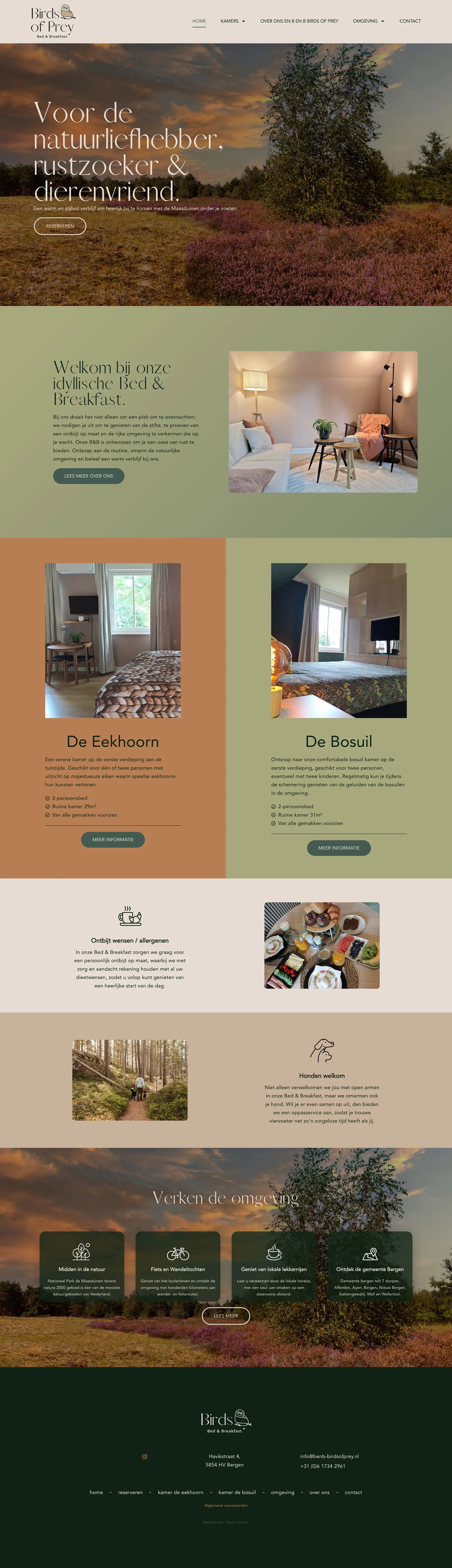 Website preview