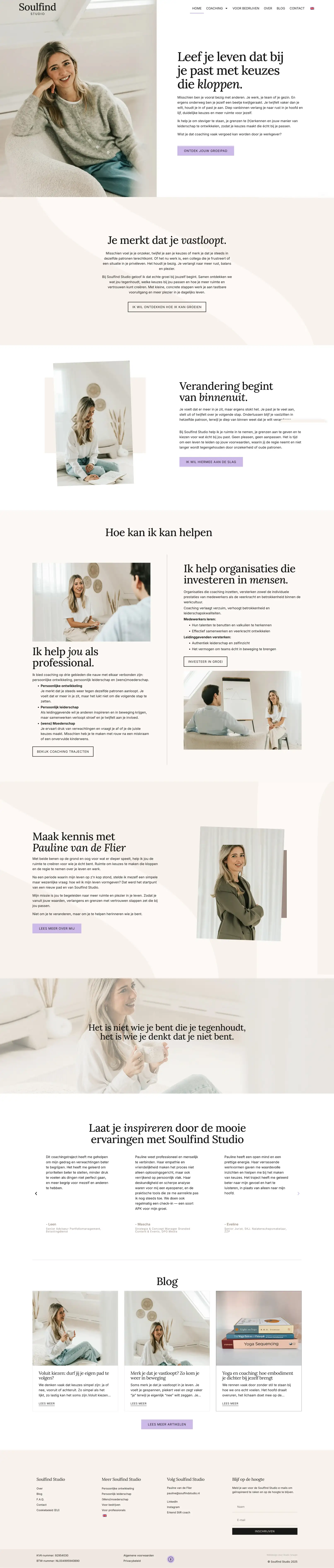 Website preview