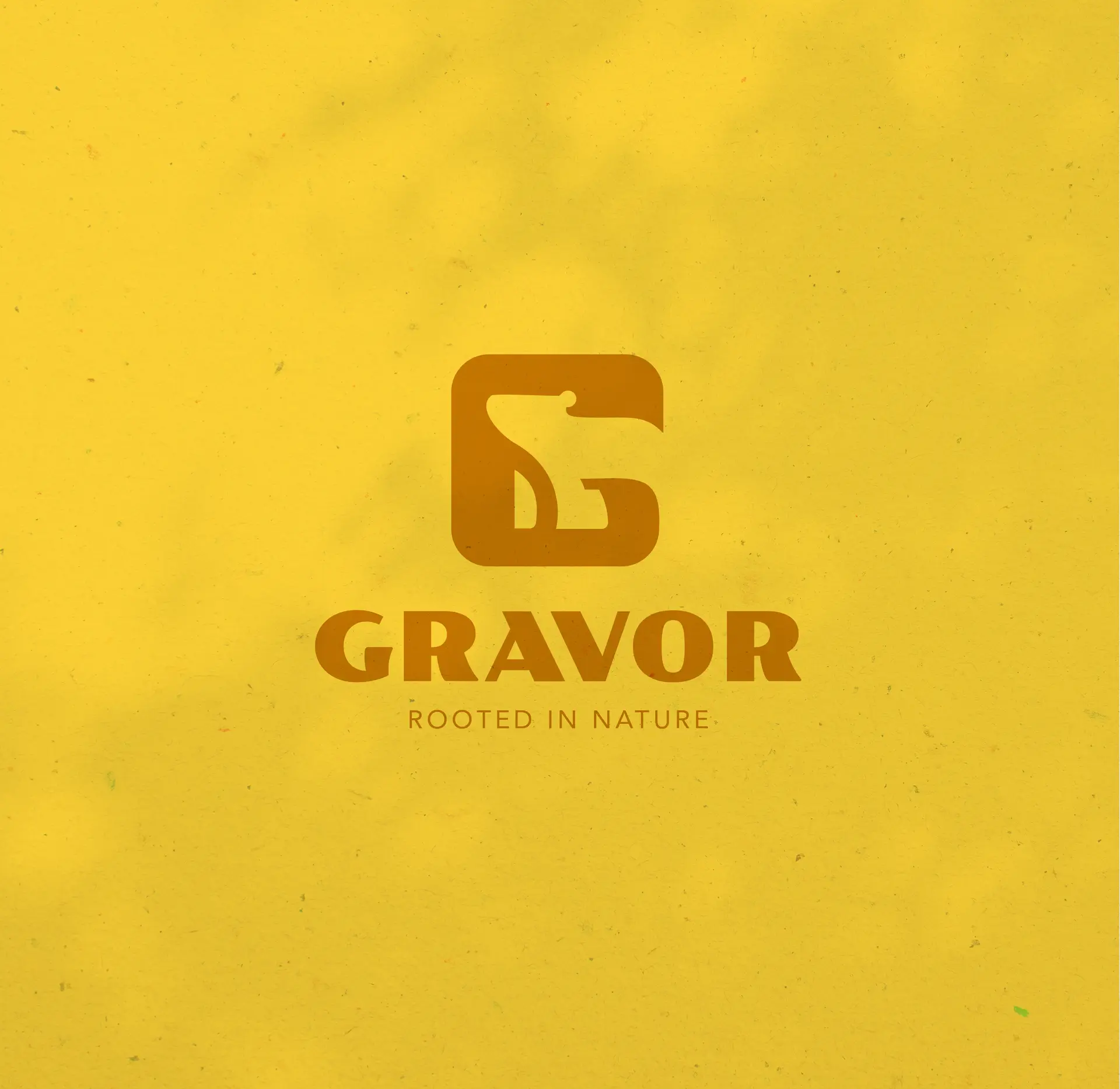 Logo van Gravor, outdoor- en hikingmerk, op mosterdgele achtergrond met stoere letterstijl en natuurlijke uitstraling. Ontwerp door Studio Smaakt.